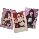 PIN UPS 2011 Calendar